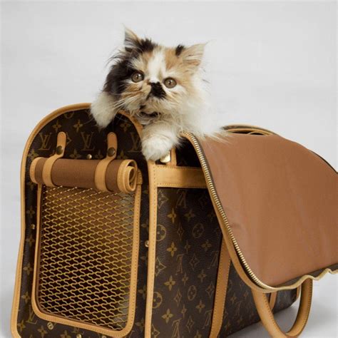 louis vuitton dog carrier 50 replica|authentic louis vuitton pet carrier.